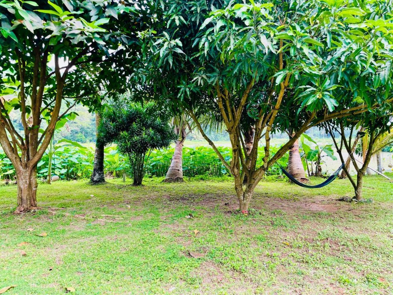Secret Garden Mirissa别墅 外观 照片